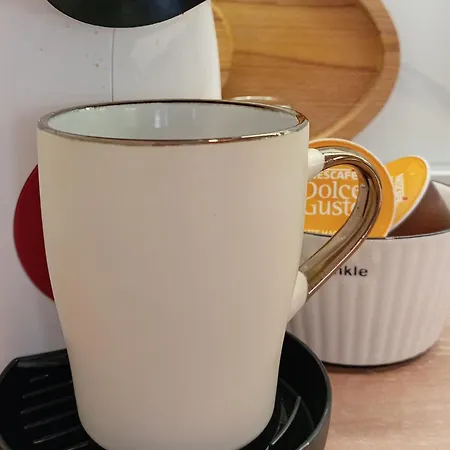 Tera Zemun 아파트 *